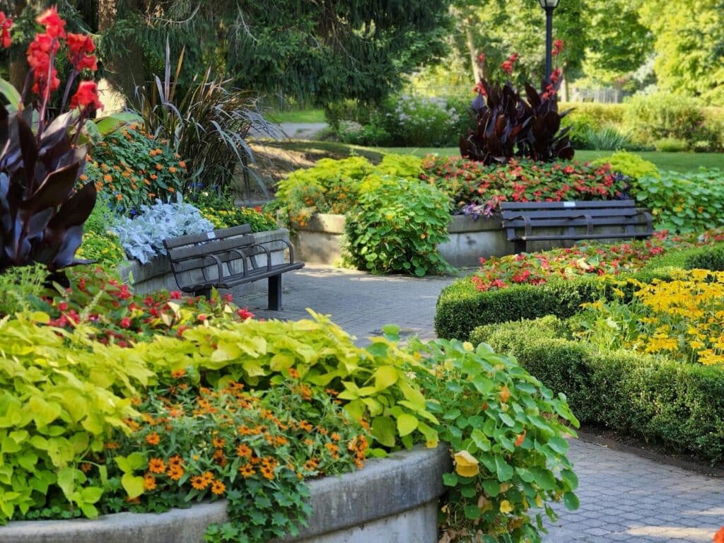 Vibrant summer garden with lush greenery, colorful flowers, and inviting wooden benches.