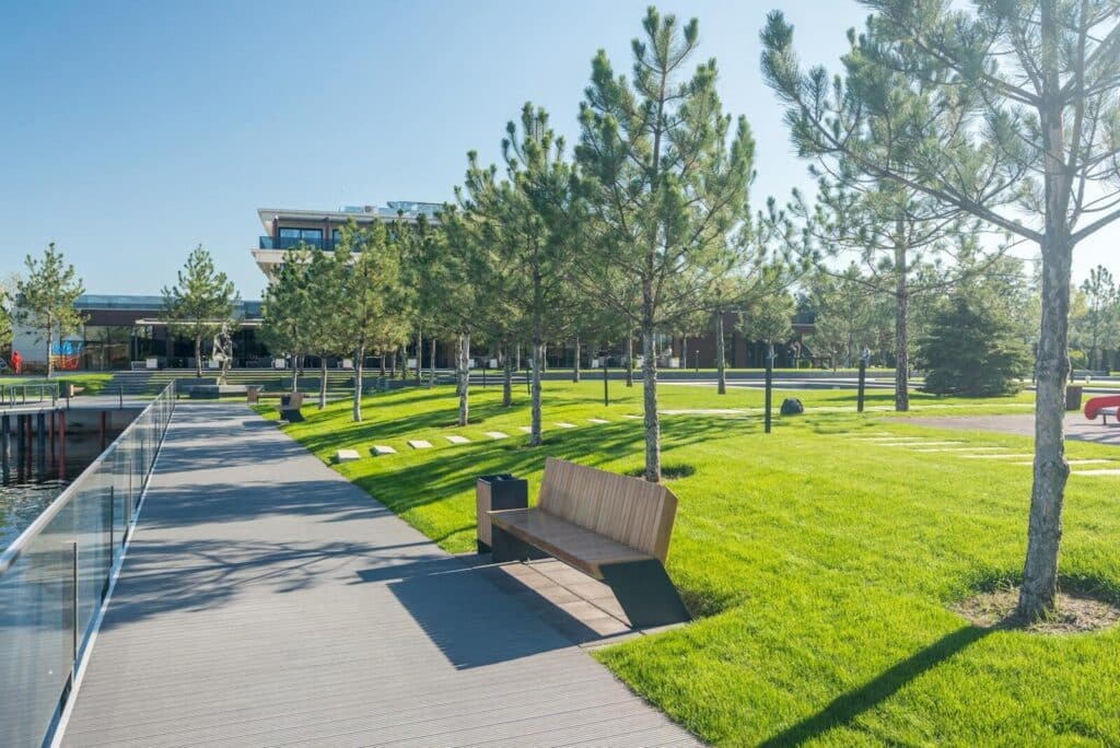 A serene view of a sunny park with benches, footpath, and lush greenery.